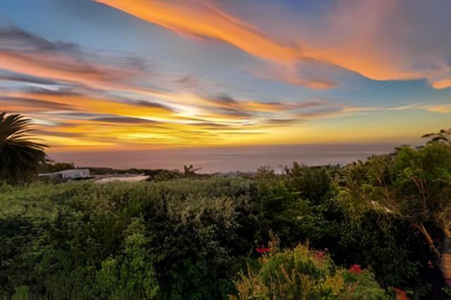 Cape Rose Cottage - Penthouse In Camps Bay Ciudad del Cabo Exterior foto